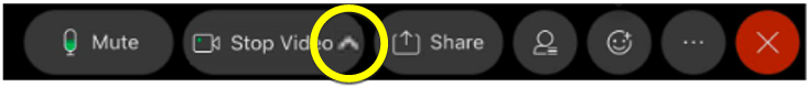 Image showing stop and start video button