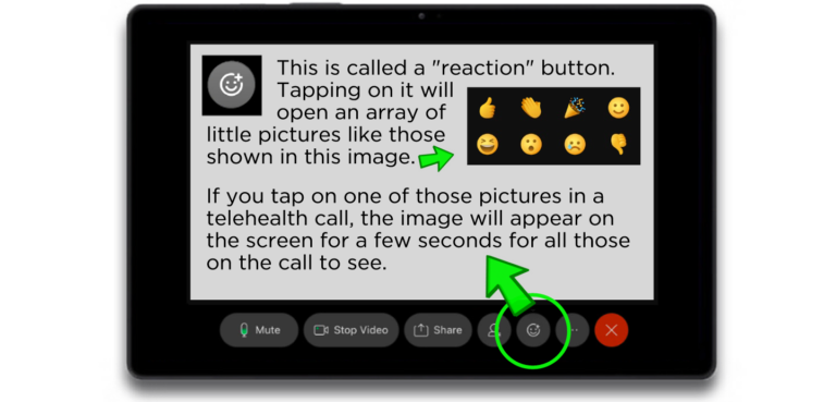 Sample Zoom meeting image Featuring Reactions button