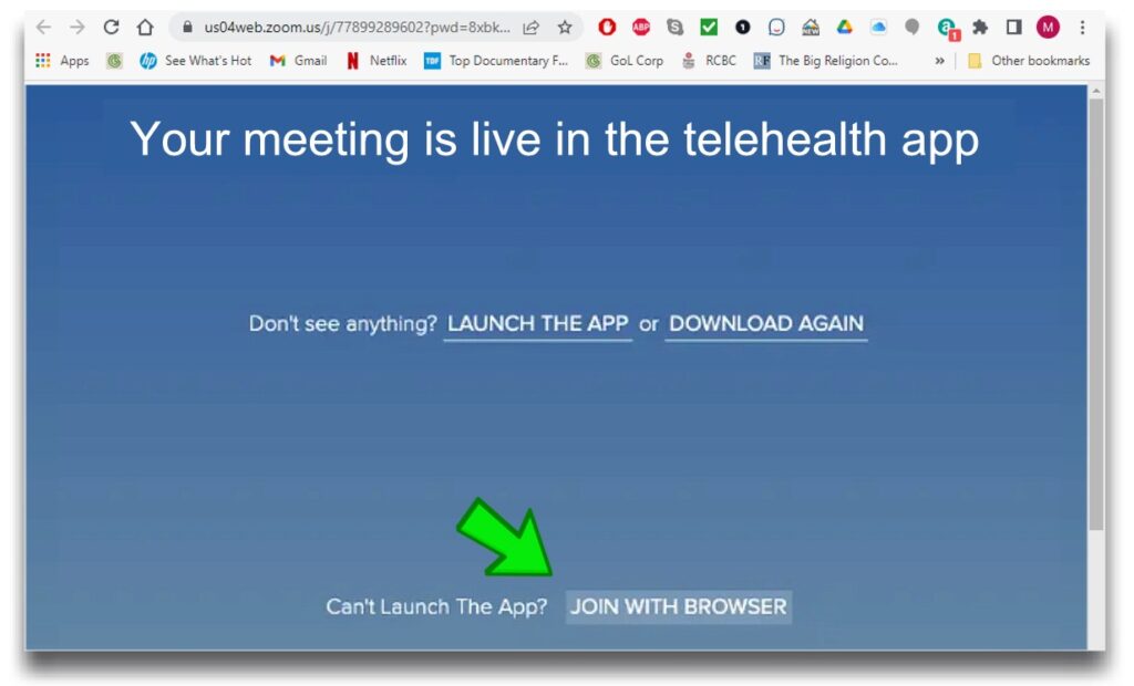 Sample telenealth "launch meeting" window image